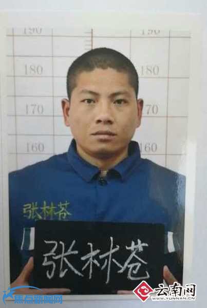 云南省第一监狱一名罪犯5月2日脱逃 正全力追捕中