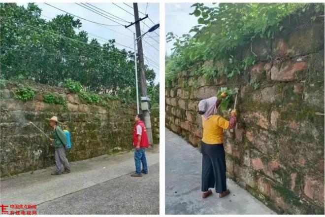 mmexport1599394236265.jpg mmexport1599394236265.jpg