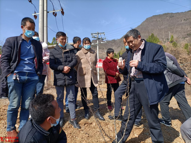 图片3.png 图片3.png