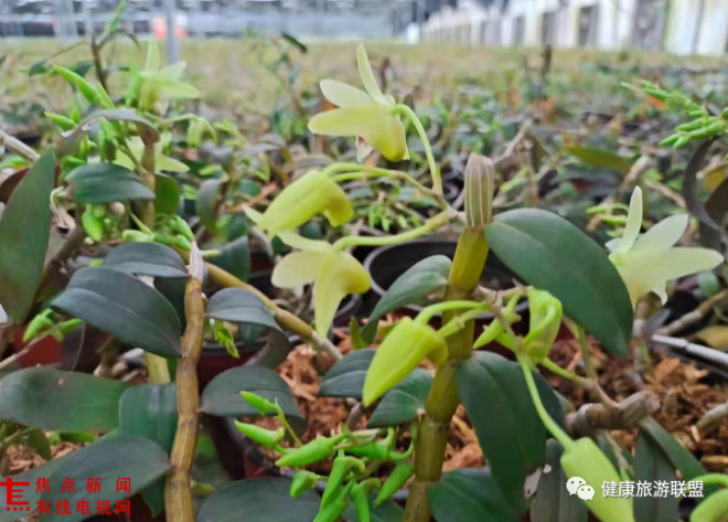 微信图片_20210517221337.png 微信图片_20210517221337.png