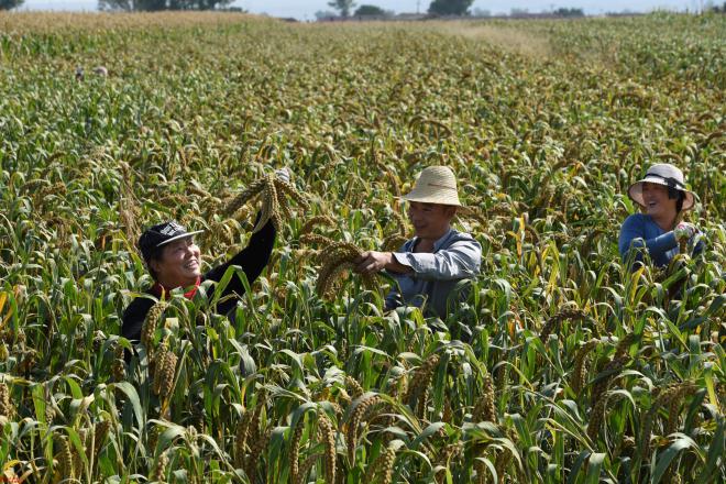 微信图片_20211209173629.jpg 微信图片_20211209173629.jpg