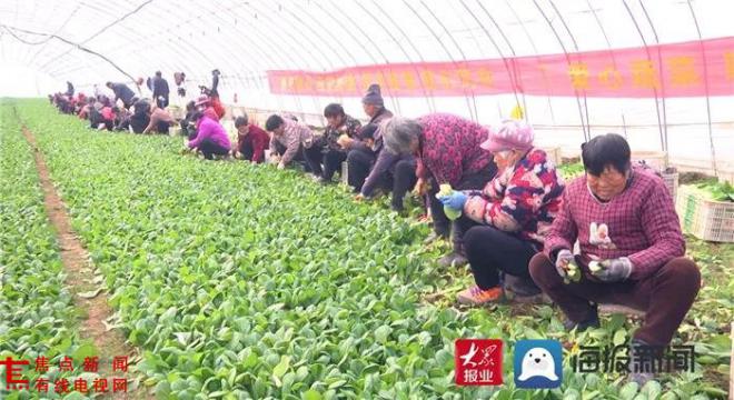 微信图片_20220107122125.jpg 微信图片_20220107122125.jpg