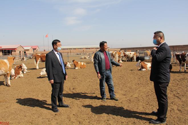 微信图片_20220308000522.jpg 微信图片_20220308000522.jpg