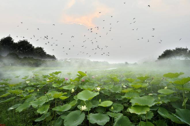 海湾国家森林公园 _proc.jpg 海湾国家森林公园 _proc.jpg