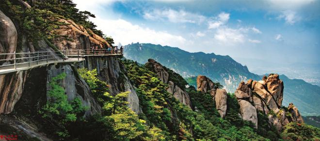 花台1_proc.jpg 花台1_proc.jpg