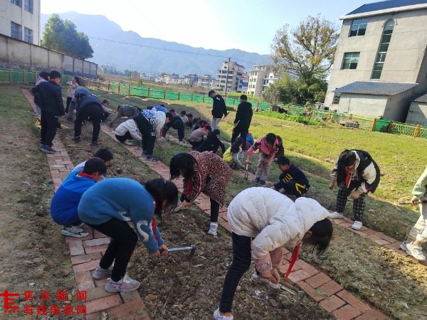 PicsArt_03-13-08.15.53.jpg PicsArt_03-13-08.15.53.jpg