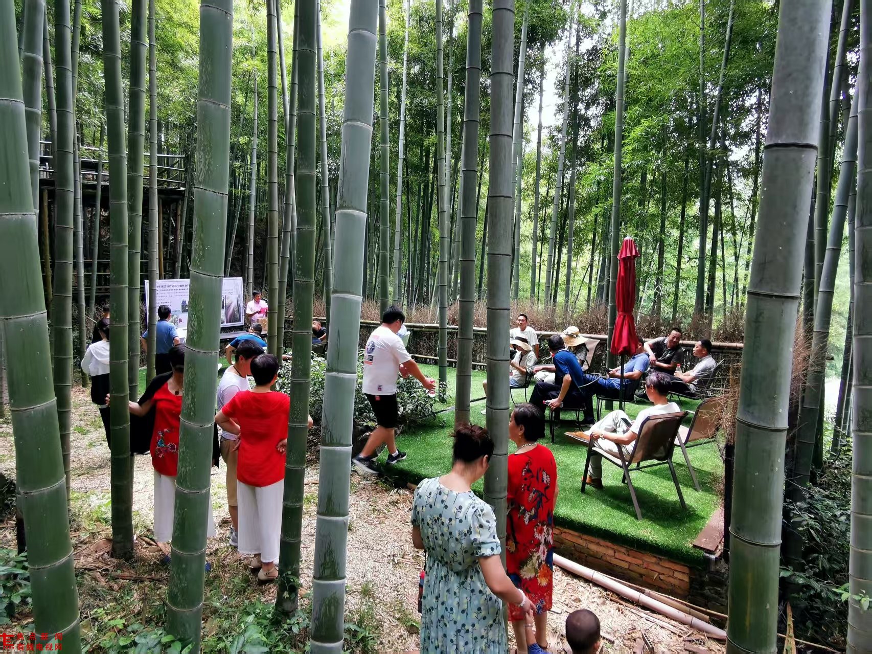 微信图片_20250216194624.jpg 微信图片_20250216194624.jpg