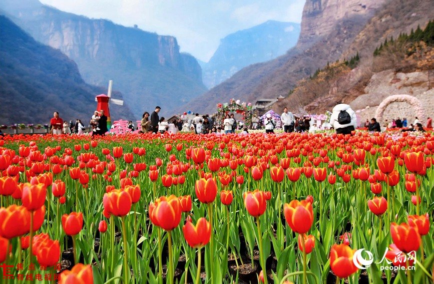 LOCAL17421950963780ES0IGU72N.jpg LOCAL17421950963780ES0IGU72N.jpg