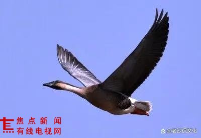 微信图片_20251015154255_85_25.jpg 微信图片_20251015154255_85_25.jpg