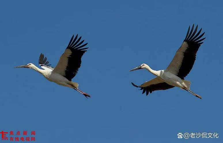 微信图片_20251015154255_86_25.jpg 微信图片_20251015154255_86_25.jpg