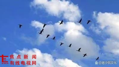 微信图片_20251015154257_88_25.jpg 微信图片_20251015154257_88_25.jpg