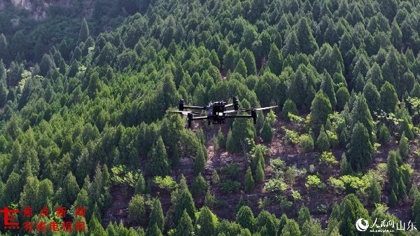 LOCAL1774405172033E2XBNOBSAB.jpg LOCAL1774405172033E2XBNOBSAB.jpg