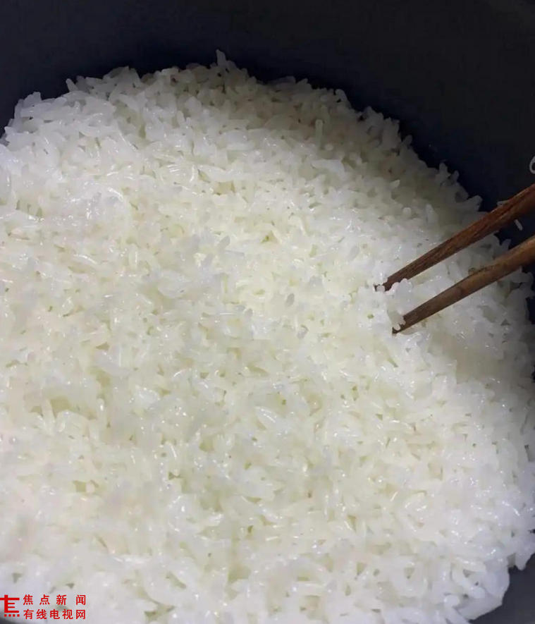“涂层焦虑”？煮饭十年，终于弄清500和1000+元电饭煲的区别了！