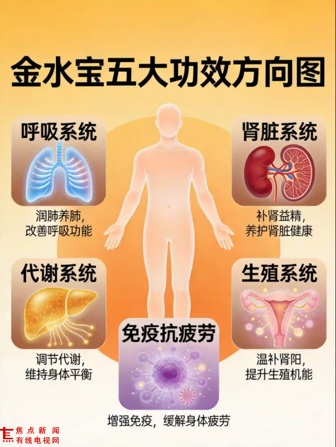 5ec8976b-76d6-4e33-a5d7-01fa741fbe13.png