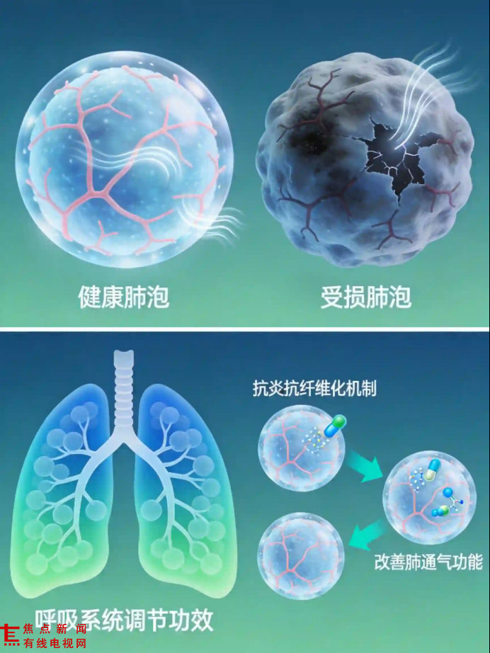 f01bfd65-f68a-4087-a990-dcaae92aa8c5.png