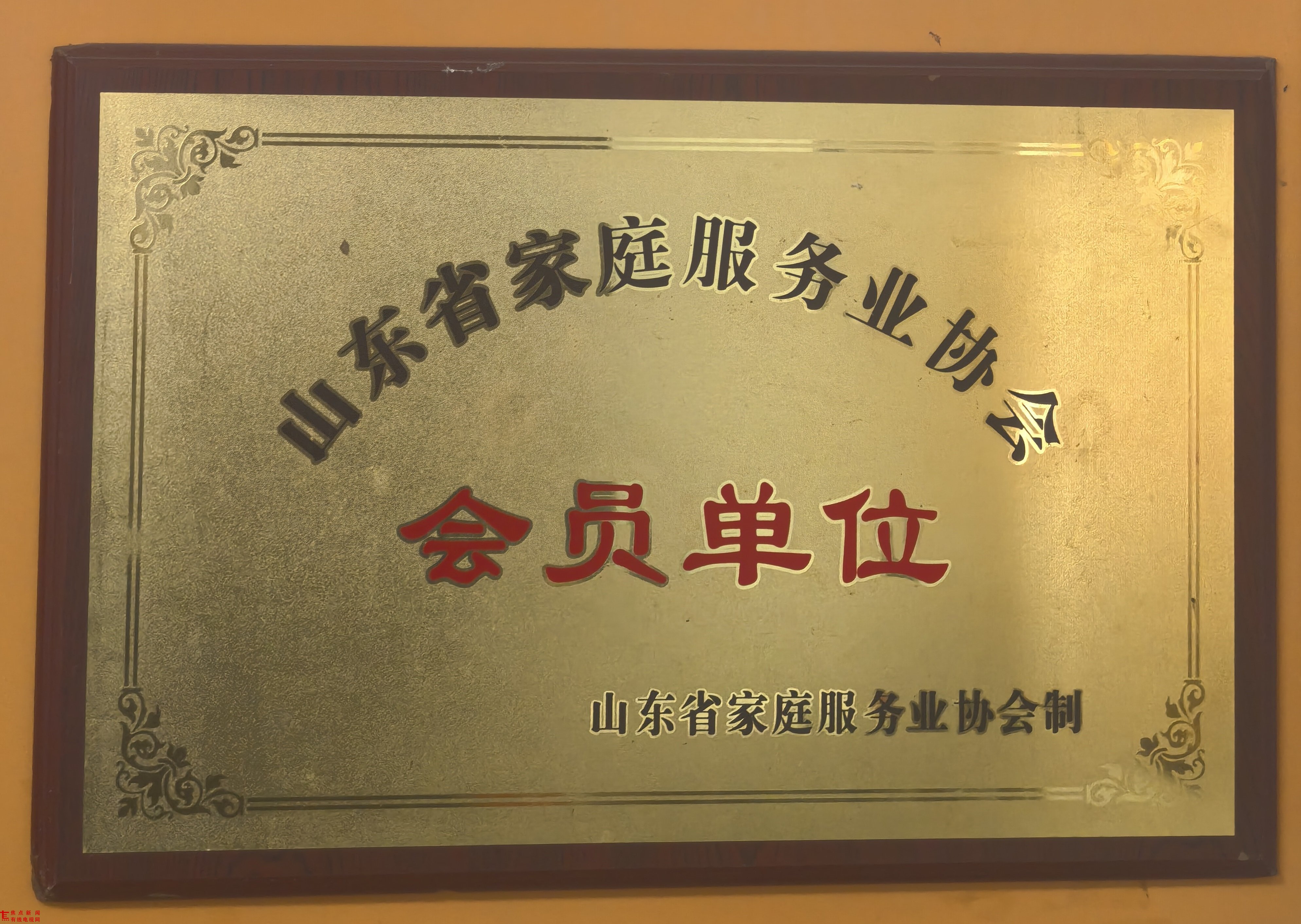 文章插图